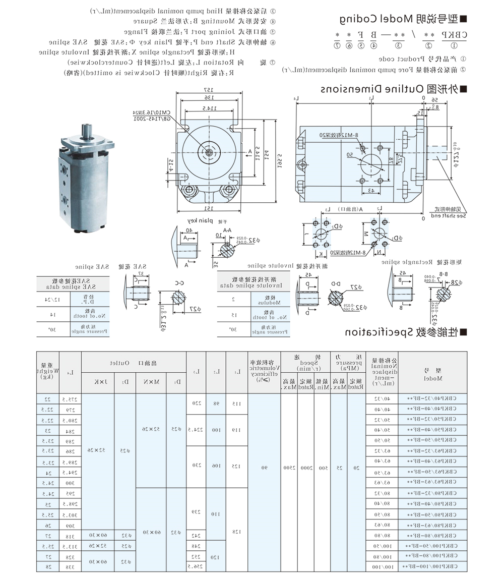 CBKP 双联齿轮油泵