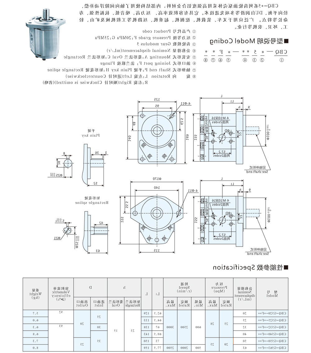 CBQ-5系列齿轮泵02