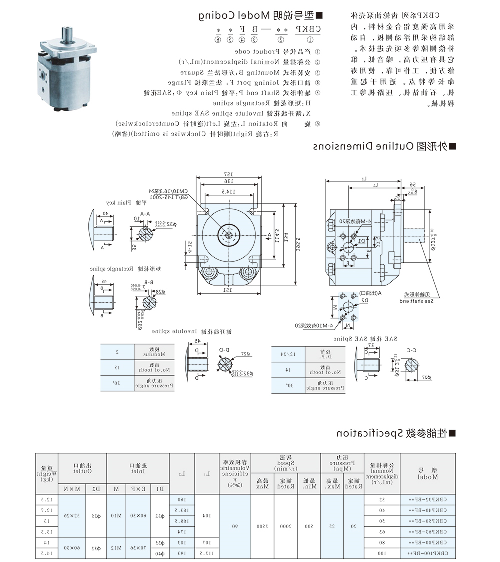 CBKP 系列齿轮泵